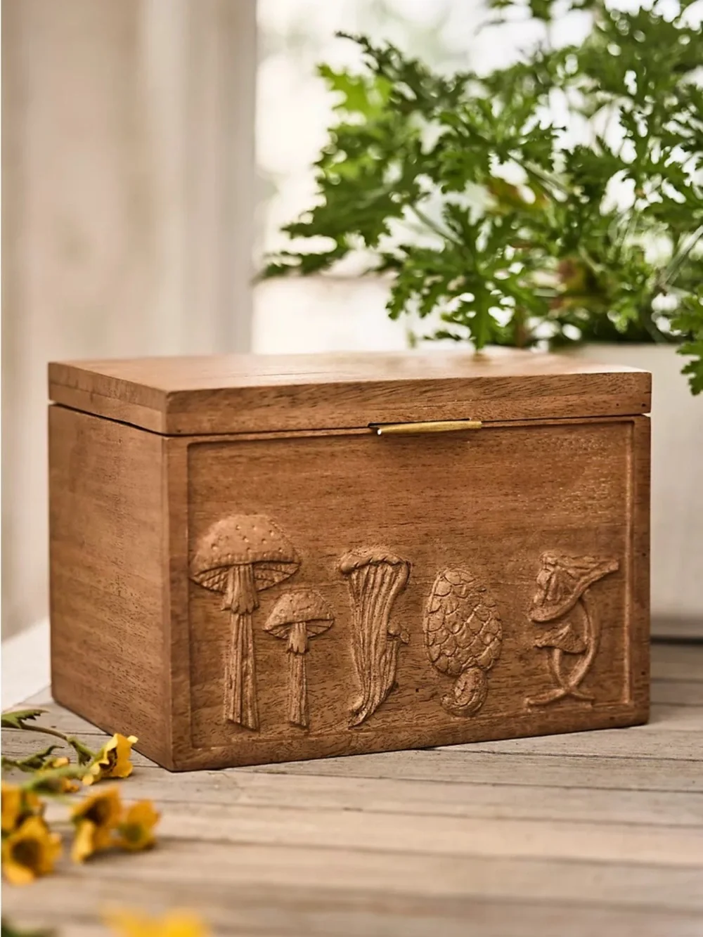 NWT Anthropologie Terrain Mushroom Seed Storage Box